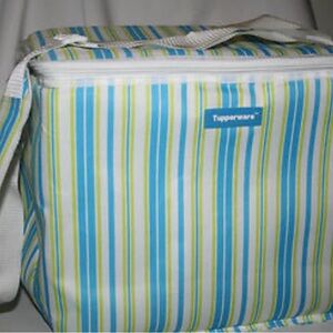 Tupperware Vibrant Striped Bag - Blue and Green